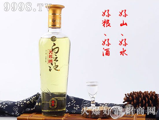 好山好水酿制的健康好酒--白云池苦荞酒
