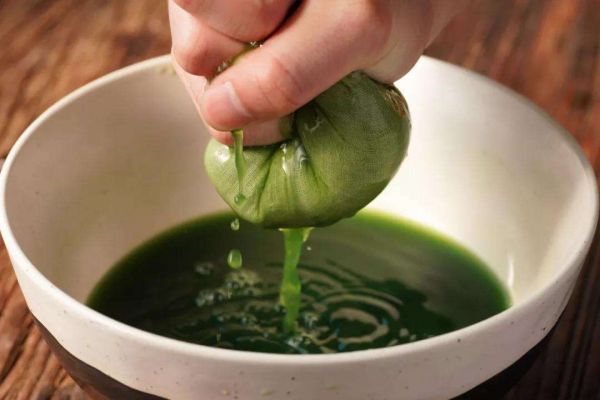 喝艾水可以减肥吗