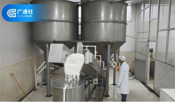诸暨绿健粮食加工聚焦高端年糕市场，打造放心品牌(图2)