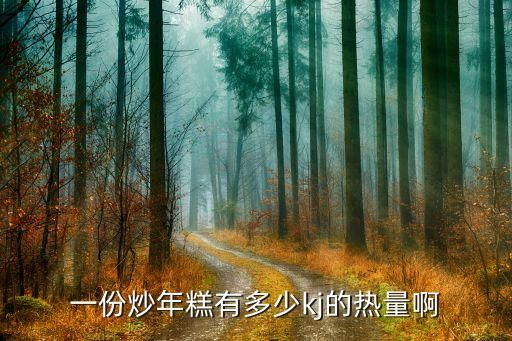 一份炒年糕有多少kj的热量啊