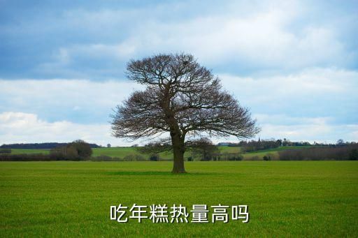 吃年糕热量高吗