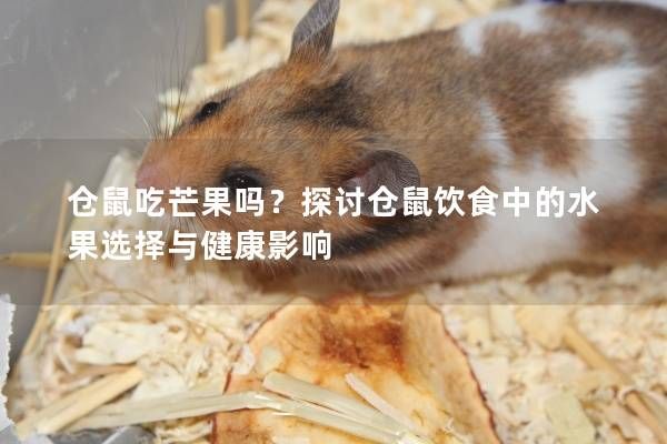 倉(cāng)鼠吃芒果嗎？探討倉(cāng)鼠飲食中的水果選擇與健康影響