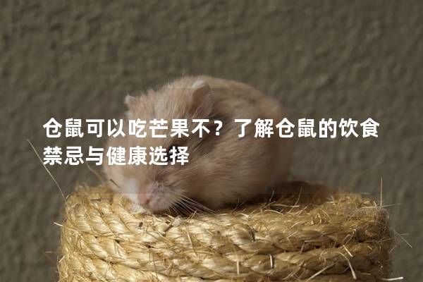 倉鼠可以吃芒果不？了解倉鼠的飲食禁忌與健康選擇