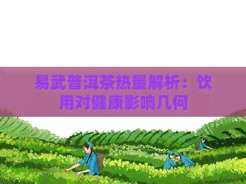 易武普洱茶热量解析：饮用对健康影响几何