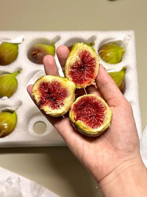 無花果熱量