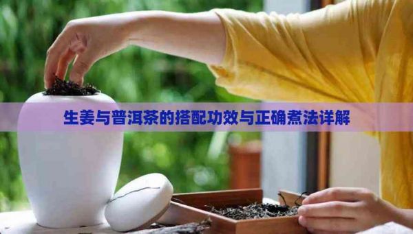 生姜与普洱茶的搭配功效与正确煮法详解