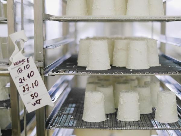 腐乳的营养价值与健康食用指南