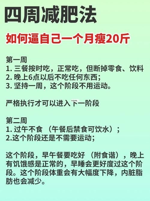 安全減肥方法：健康飲食與適度運動(2)
