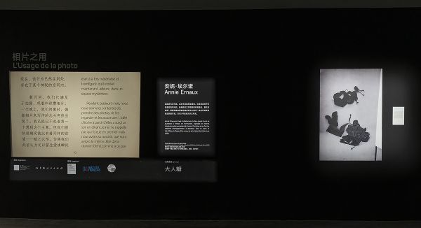 大人糖此次赞助诺贝尔文学奖得主的艺术展览，不仅是品牌在文化领域的一次重要参与，更是其长期关注女性表达、情感自觉与审美进阶的延续。安妮·埃尔诺的作品始终致力于打破私密与公共的界限，以冷静而真实的笔触和影像还原女性内在体验。这一艺术追求与大人糖“情趣阳光化”的品牌理念高度契合——共同致力于在阳光之下探讨欲望、关怀身心，推动大众对女性情感的认知与尊重。