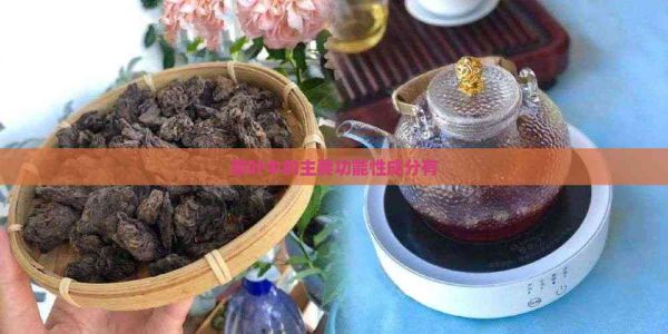 茶葉中的主要功能性成分有