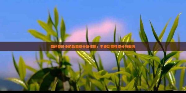 簡述茶葉中的功能成分及作用：主要功能性成分與概念