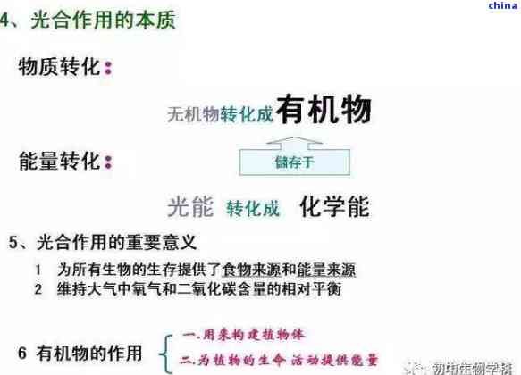 茶葉的重要組成成分是什么？詳解茶葉的基本構(gòu)成及含義