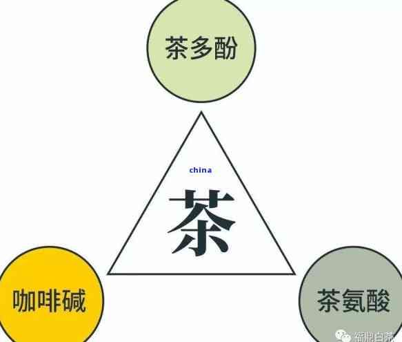 茶葉的重要組成成分是什么？詳解茶葉的基本構(gòu)成及含義