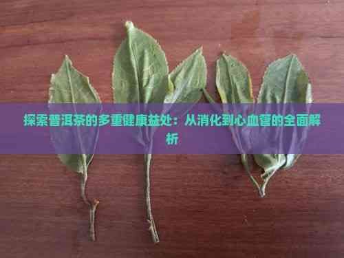 探索普洱茶的多重健康益處：從消化到心血管的全面解析