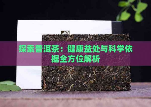 探索普洱茶：健康益處與科學(xué)依據(jù)全方位解析