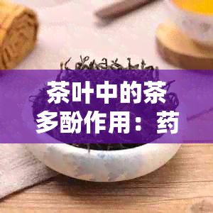 茶叶中的茶多酚作用：药理功效与作用解析