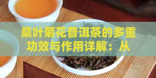 桑葉菊花普洱茶的多重功效與作用詳解：從減肥到養(yǎng)生，全面解答您的疑問