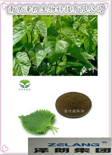 桑葉提取物多糧