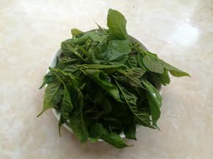 桑叶炒鸡蛋—清肝火的好食材的做法 步骤1