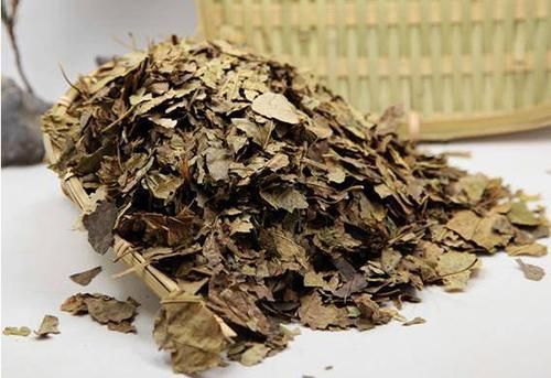 桑叶这么吃能减肥，做起来非常简单，可惜很少有人知道