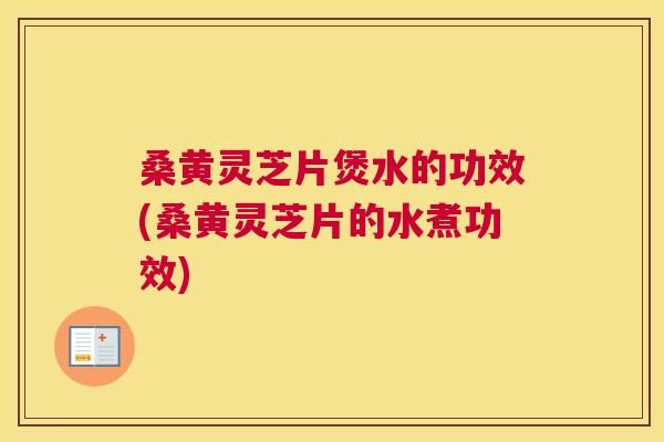 桑黄灵芝片煲水的功效(桑黄灵芝片的水煮功效)