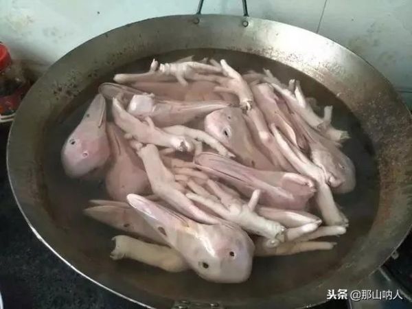 美食秘籍：麻辣鸭头配方，商用家用都可以