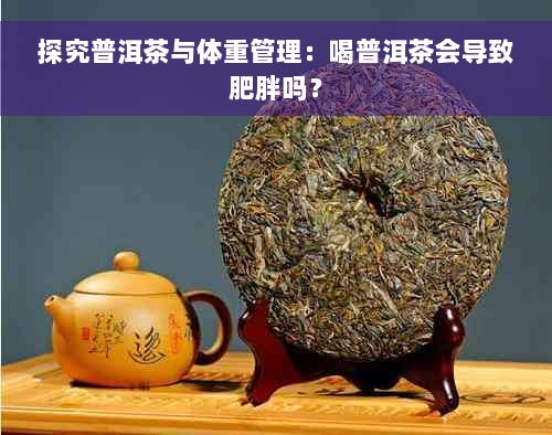 探究普洱茶与体重管理：喝普洱茶会导致肥胖吗？