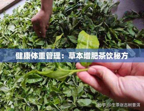 健康体重管理：草本增肥茶饮秘方