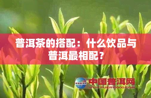 普洱茶的搭配：什么饮品与普洱最相配？