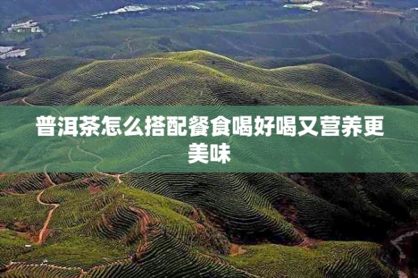 普洱茶怎么搭配餐食喝好喝又营养更美味