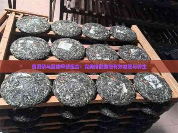 普洱茶与健康早餐组合：完美搭配助您有效减肥与养生