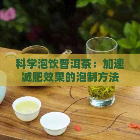 科学泡饮普洱茶：加速减肥效果的泡制方法