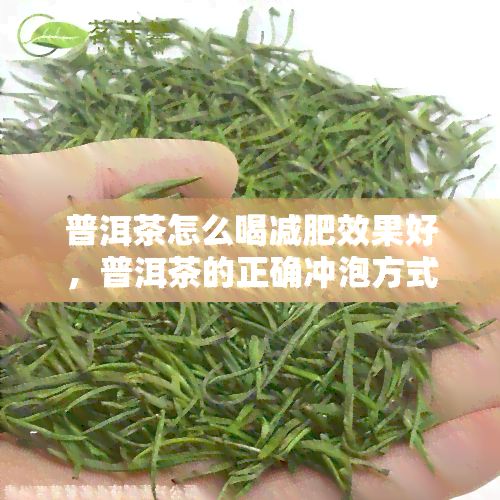 普洱茶怎么喝减肥效果好，普洱茶的正确冲泡方法，让你轻松享瘦！