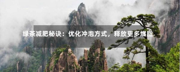 綠茶減肥秘訣：優(yōu)化沖泡方式，釋放更多燃脂成分-第1張-綠茶-鳳凰單叢茶網(wǎng)