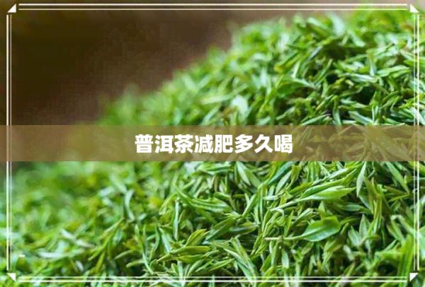 普洱茶减肥多久喝