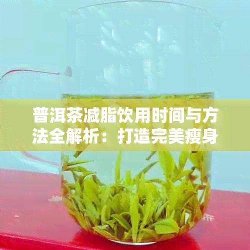 普洱茶减脂饮用时间与方法全解析：打造完美瘦身计划