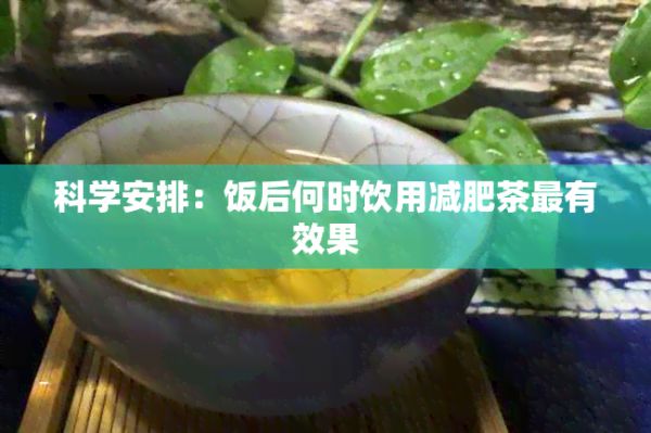 科学安排：饭后何时饮用减肥茶最有效果