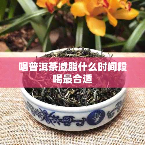 喝普洱茶减脂什么时间段喝最合适