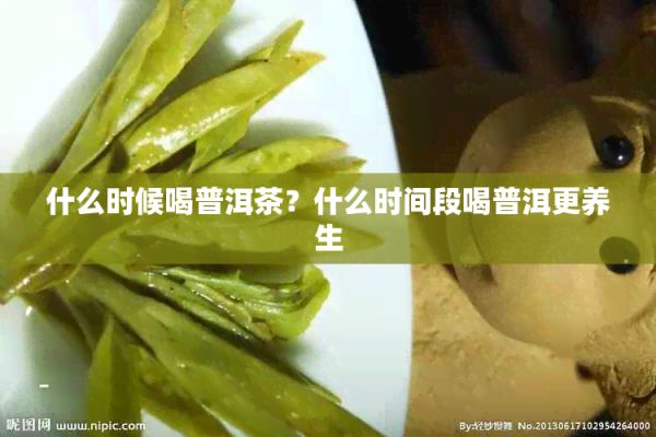 什么时候喝普洱茶？什么时间段喝普洱更养生