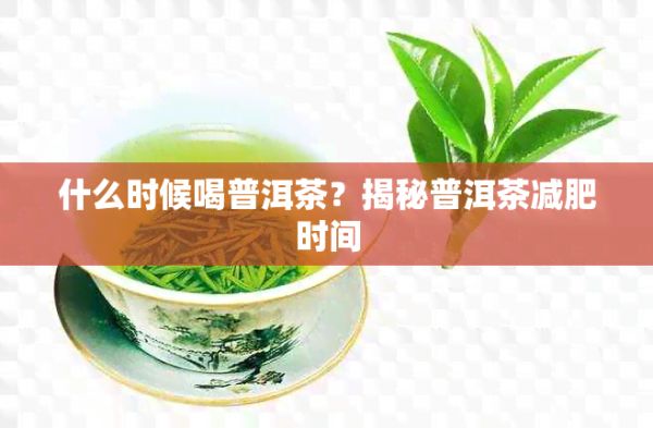 什么时候喝普洱茶？揭秘普洱茶减肥时间