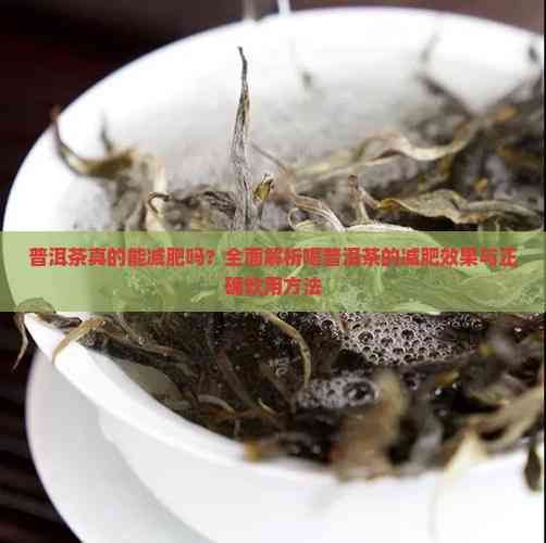 普洱茶真的能减肥吗？全面解析喝普洱茶的减肥效果与正确饮用方法