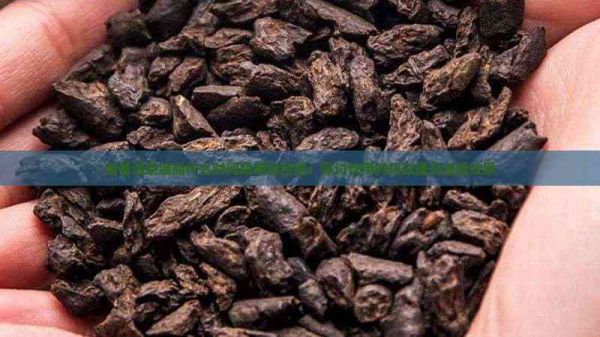 喝普洱茶减脂什么时间段喝最合适：探讨饮用时段以提升减脂效果