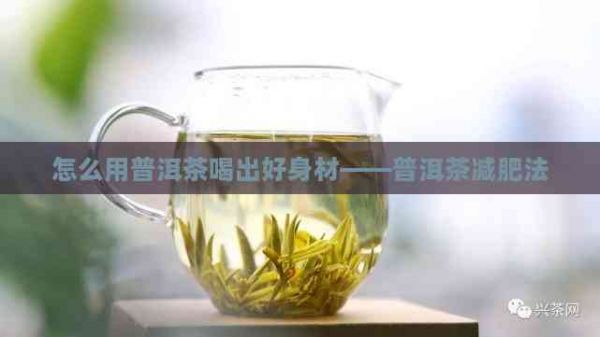 怎么用普洱茶喝出好身材——普洱茶减肥法