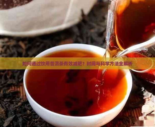 如何通过饮用普洱茶有效减肥？时间与科学方法全解析