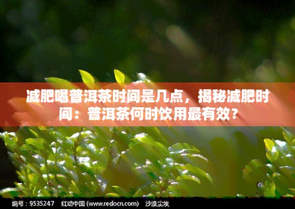 减肥喝普洱茶时间是几点，揭秘减肥时间：普洱茶何时饮用最有效？