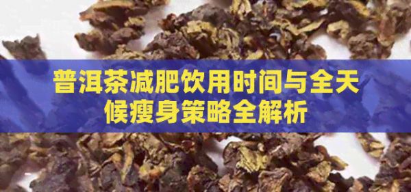 普洱茶减肥饮用时间与全天候瘦身策略全解析