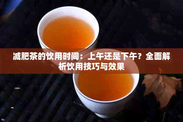 减肥茶的饮用时间：上午还是下午？全面解析饮用技巧与效果