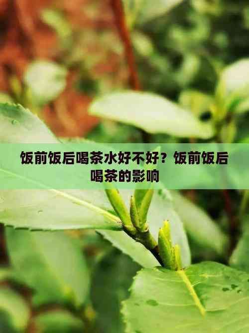 饭前饭后喝茶水好不好？饭前饭后喝茶的影响