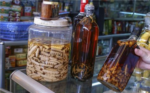 哪些药酒能养生 药酒什么时候喝 喝什么药酒对身体好