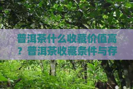 普洱茶什么收藏价值高？普洱茶收藏条件与存放，普洱茶收藏时间多长。